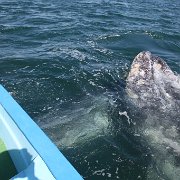 IMG 0001 2 (356)